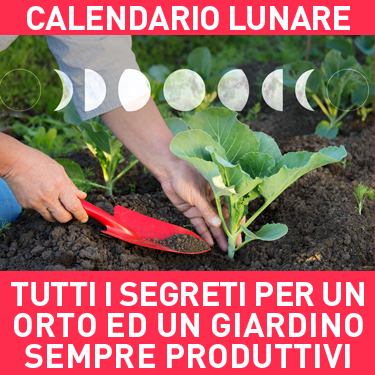 375x375 calendario lunare brevi